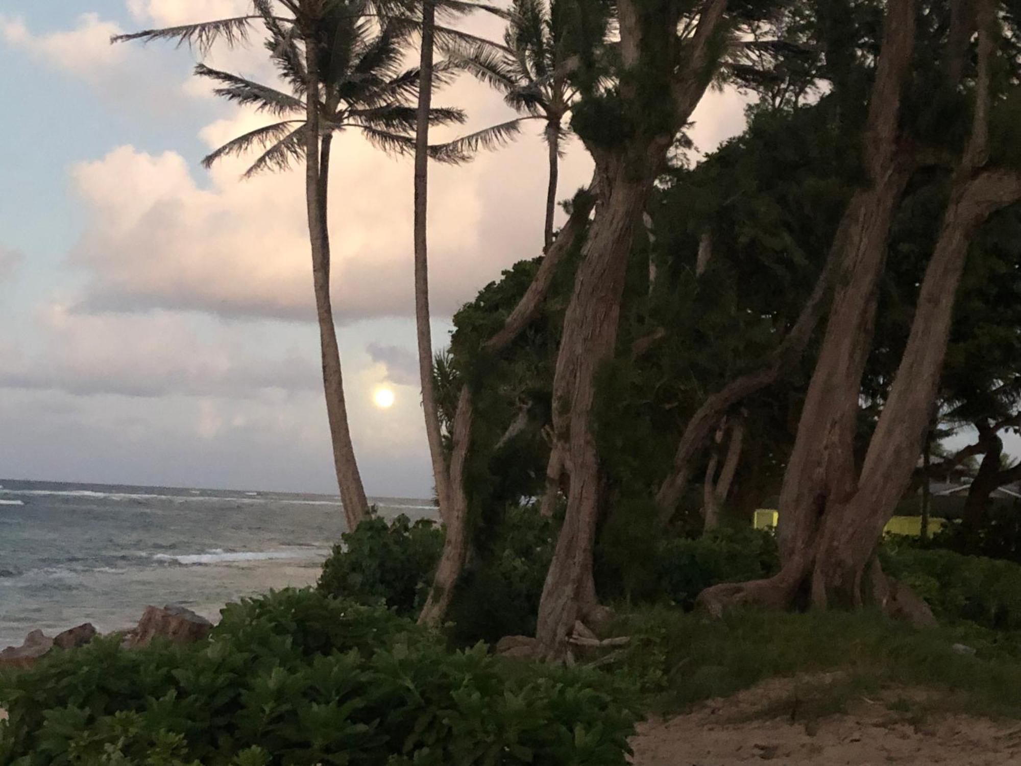 Tropical Treasure On A White Sandy Beach Villa Laie Buitenkant foto